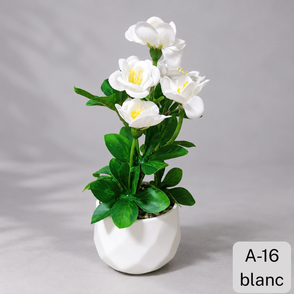 A -16 Blanc